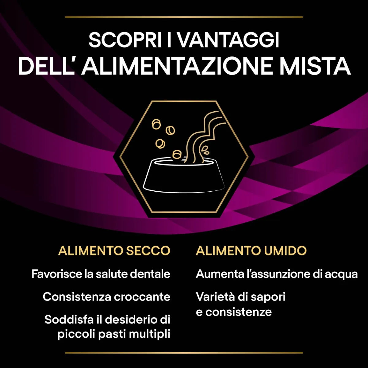 Pro Plan Feline UR Urinary Salmone 10x85g Umido per Gatti Pro Plan Feline UR Urinary Salmone 10x85g Umido per Gatti